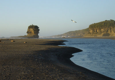DSC07843punakaiki.jpg