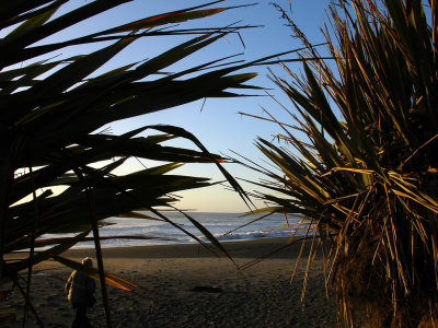 DSC07905punakaiki3.jpg
