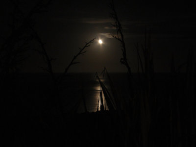 DSC07932moon.jpg