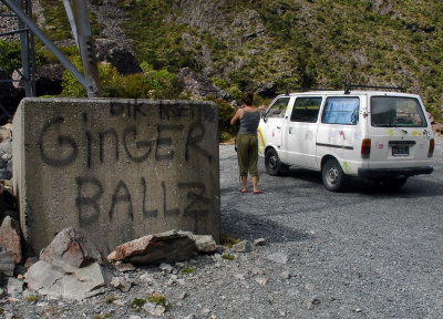 DSC07961ginger.jpg