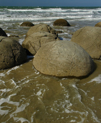 DSC01154moeraki.jpg