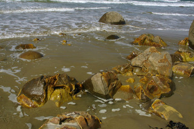 DSC01158moeraki.jpg