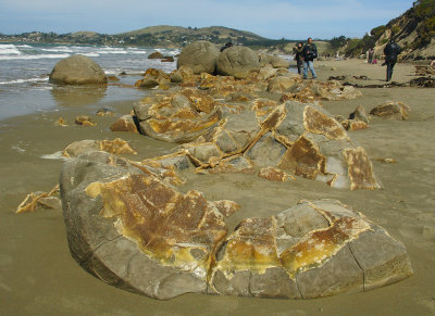 DSC01185moeraki.jpg