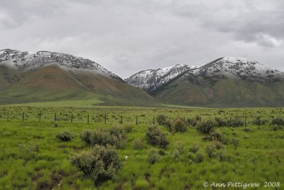 June Snow