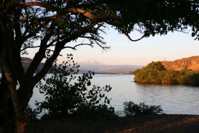 The view from the van at the campsite