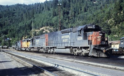 Helpers at Dunsmuir. August 1976