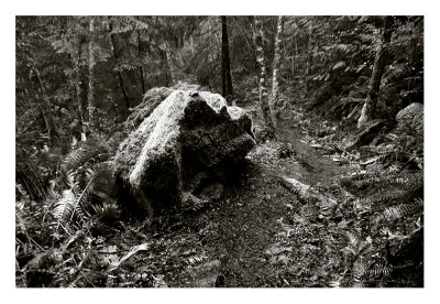 Mt Daniel In The Rain - 2006