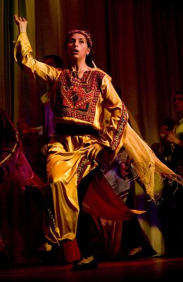 Debke Dancers From Ayda Camp