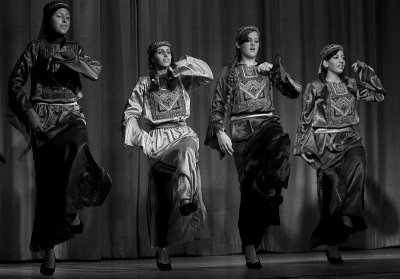 Debke Dancers of Ayda Camp