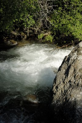 g5/20/715820/3/100270611.PR0Pc6R7.jpg