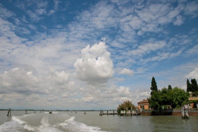 Venice water taxi.jpg