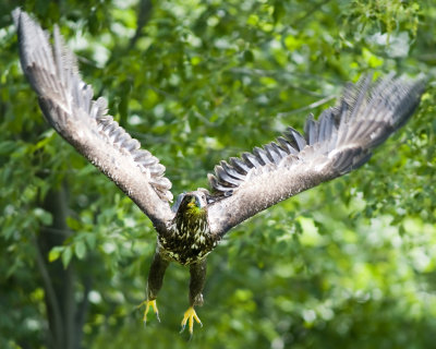 DSC_6227.jpg
