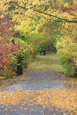 Autumn path in Wilanow Gardens