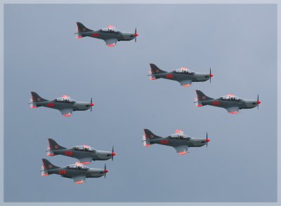 The Polish Display Team - 7 x PZL-130 Orlik