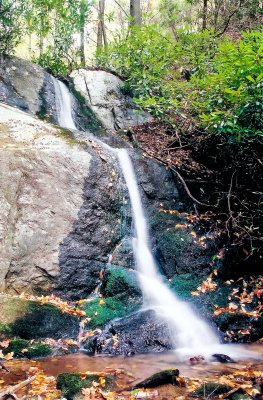 Waterfalls on Tributary to Rich Mountain Creek about 20 to 25 Ft.