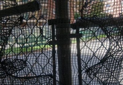Lace and bars
