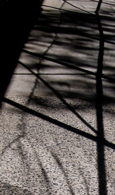 Lines and shadows