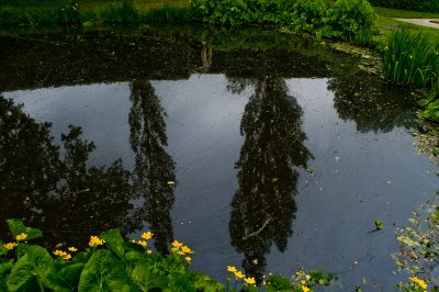 Reflection at Sissinghurst