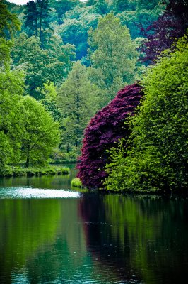 Reflections at Stourhead
