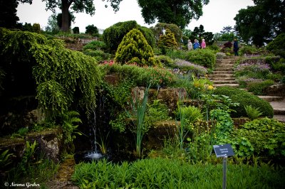 View at Wisley