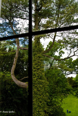 View from a Kifsgate window