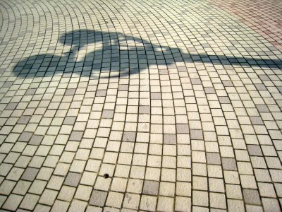 31_10_09r.jpg