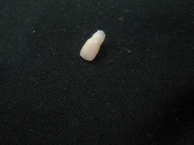 7_11_09e.jpg