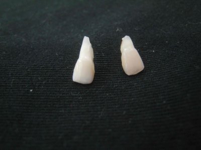7_11_09f.jpg