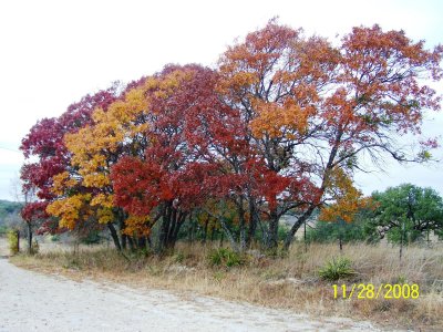Texas Hill Country Getaway - Fall 2008
