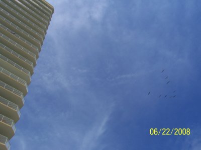 Florida Vacation 064.jpg
