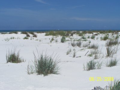Florida Vacation 130.jpg