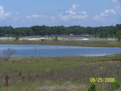 Florida Vacation 132.jpg