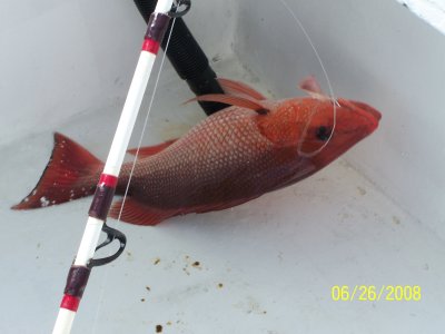 Florida Vacation 213.jpg