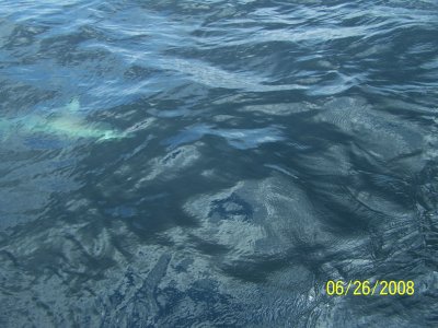 g5/21/122021/3/99525082.4SCCrsNH.jpg