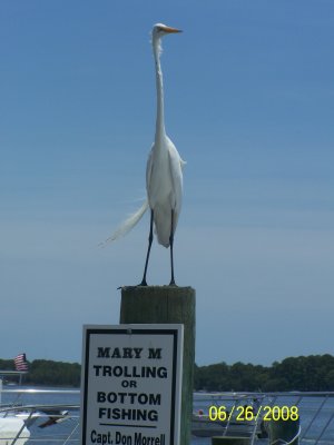 Florida Vacation 244.jpg