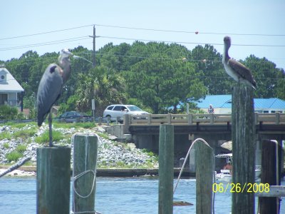 Florida Vacation 252.jpg