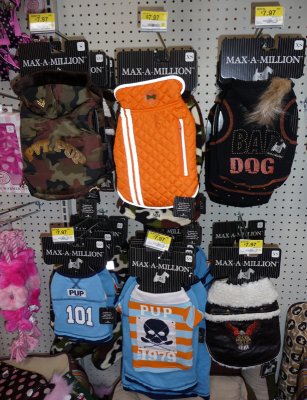 especially for Pooch