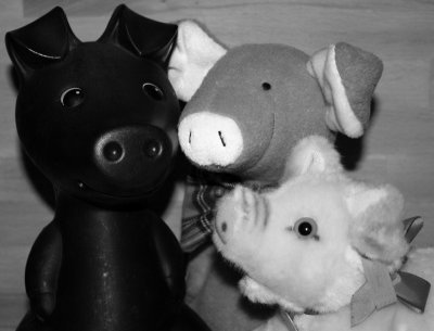 Pigs (Three Different Ones) ~ 1977