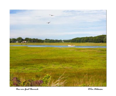 GreatHammock8x10TM.jpg