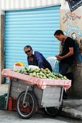 Fruits of Tunisia