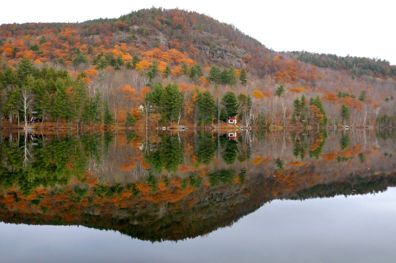 Beaver Pond, Adirondack Park Preserve, NY