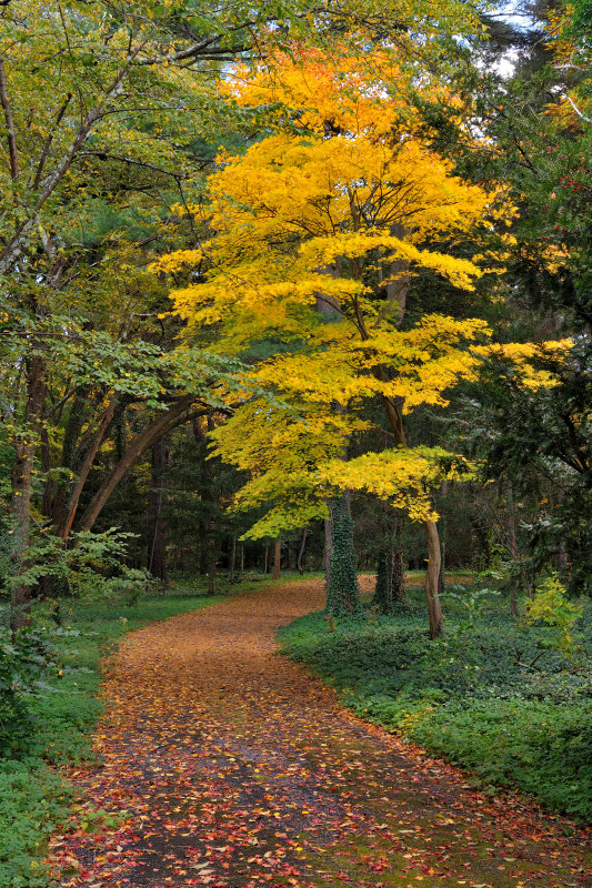 Bailey Arboretum