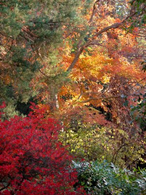 Bailey Arboretum