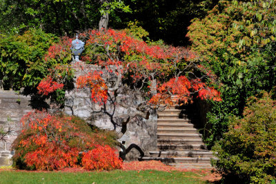 New Jersey Botanical Garden, Skylands