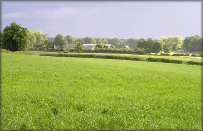 Arniston Farm