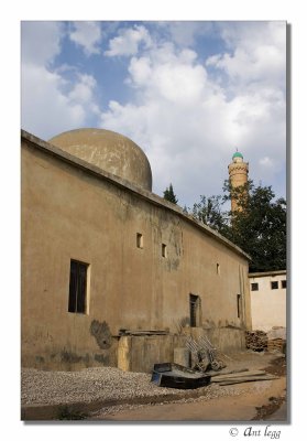 the mosque