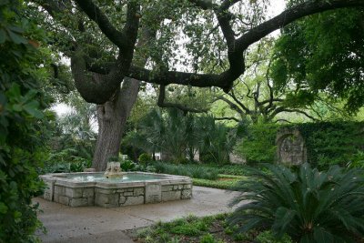 09_The Alamo garden - 3.JPG