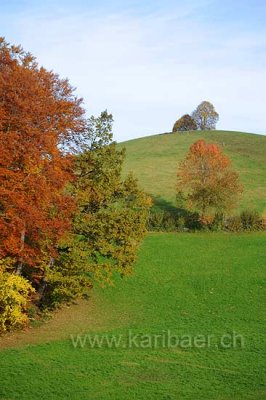 Ratsherrengutsch (91910)