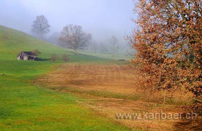 Herbst (8298)