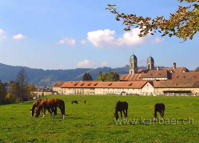 Kloster Einsiedeln (50038)